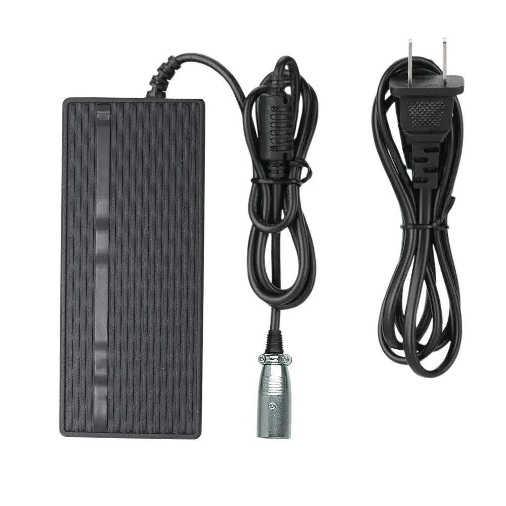 VIVI Electric Bike Chargers for 48V Battery