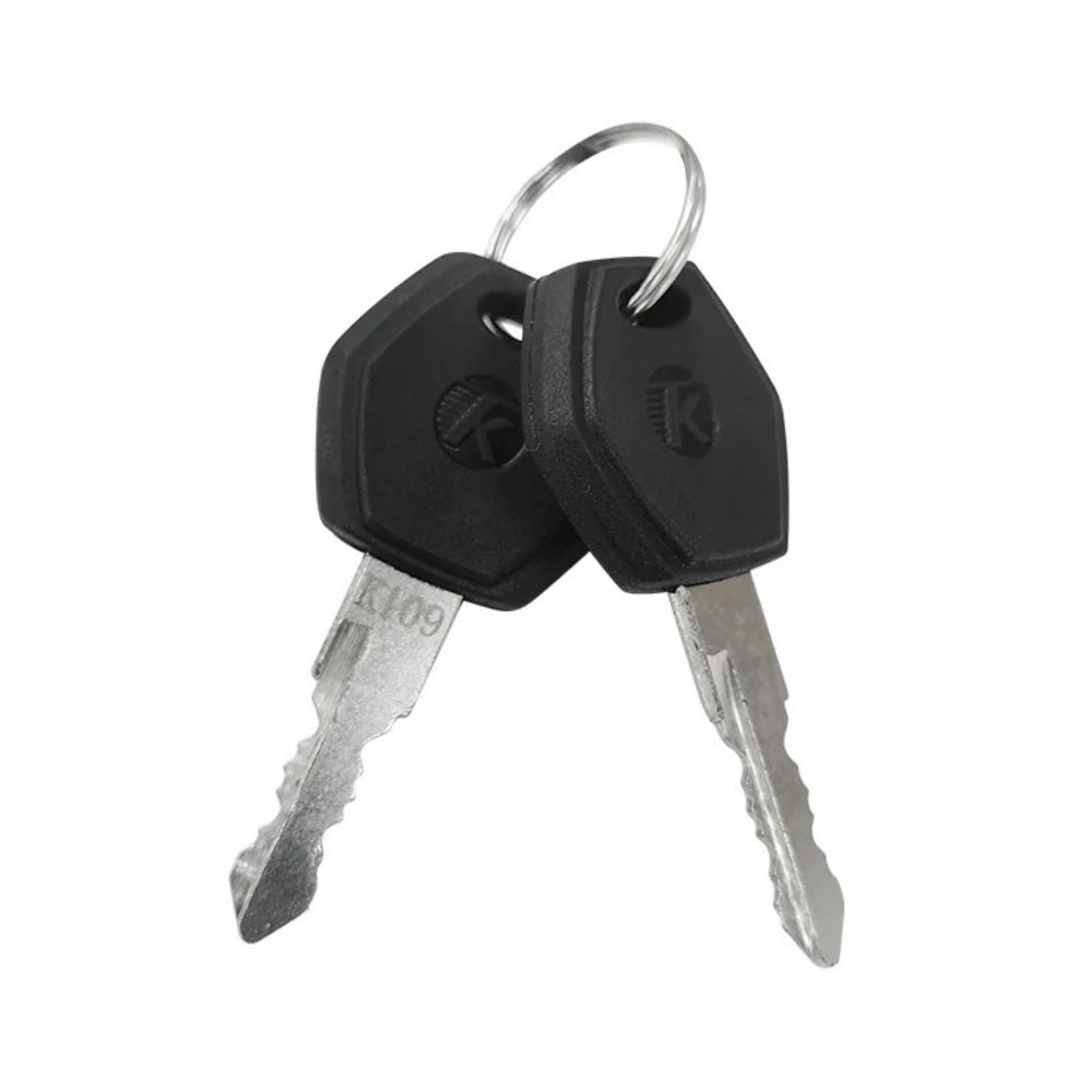 VIVI Electric Bike Battery Keys (Customized)
