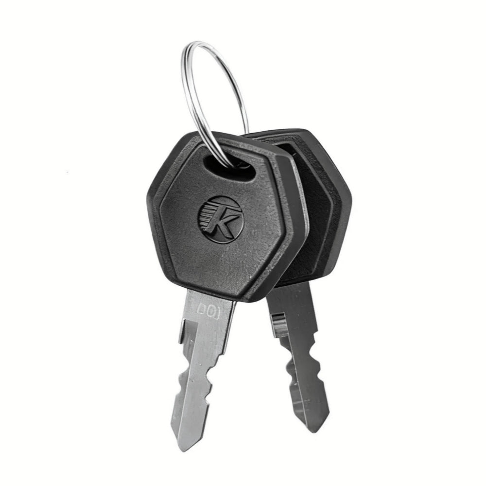 VIVI Electric Bike Battery Keys (Customized)