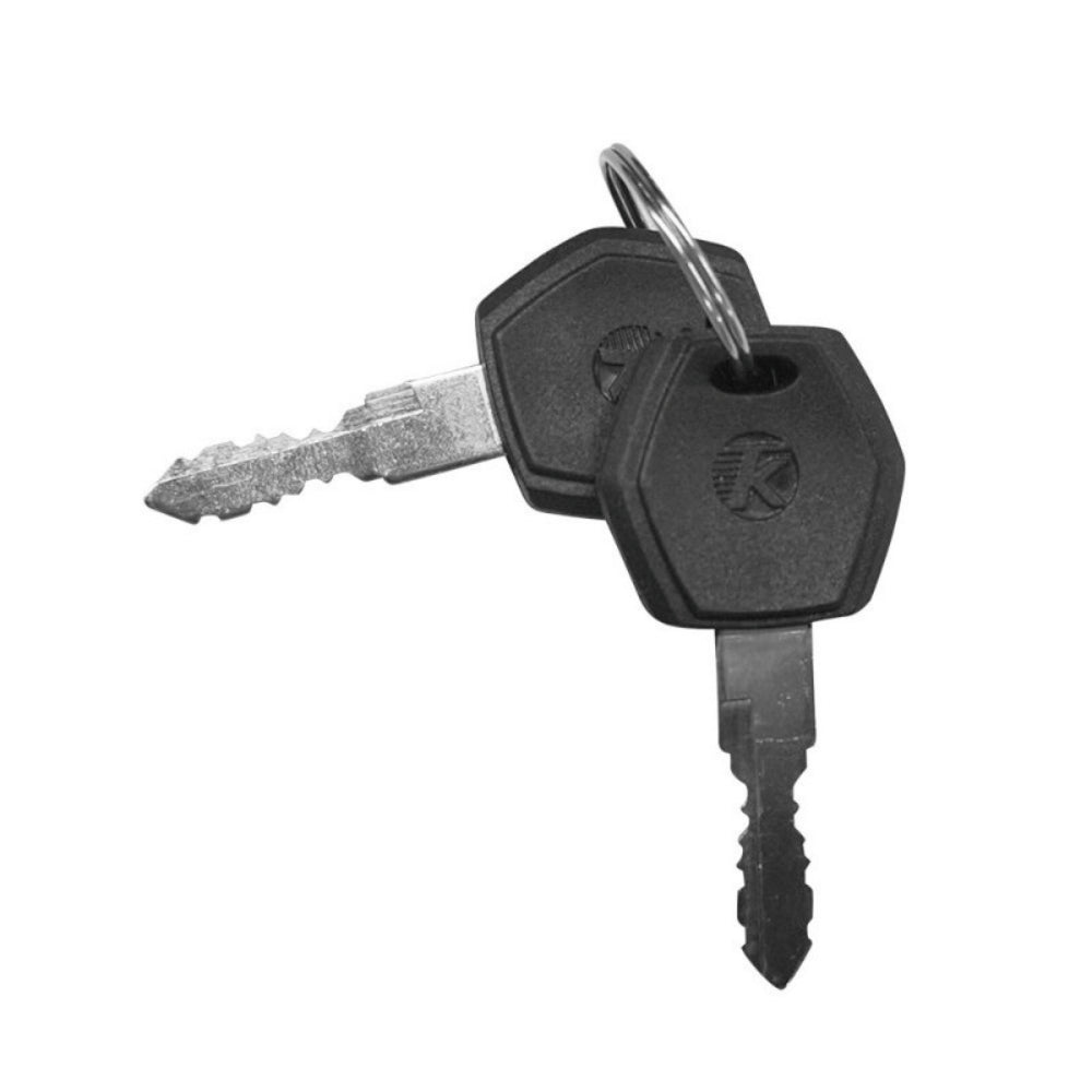 VIVI Electric Bike Battery Keys (Customized)
