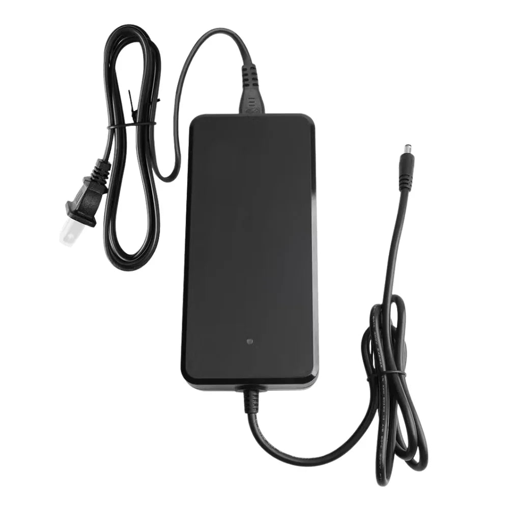 VIVI Electric Bike Chargers for 48V Battery