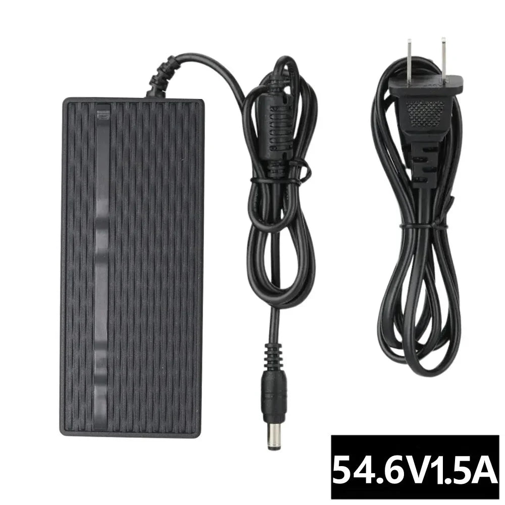 VIVI Electric Bike Chargers for 48V Battery