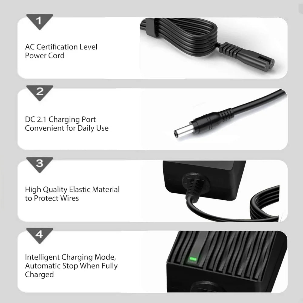 VIVI Electric Bike Chargers for 48V Battery