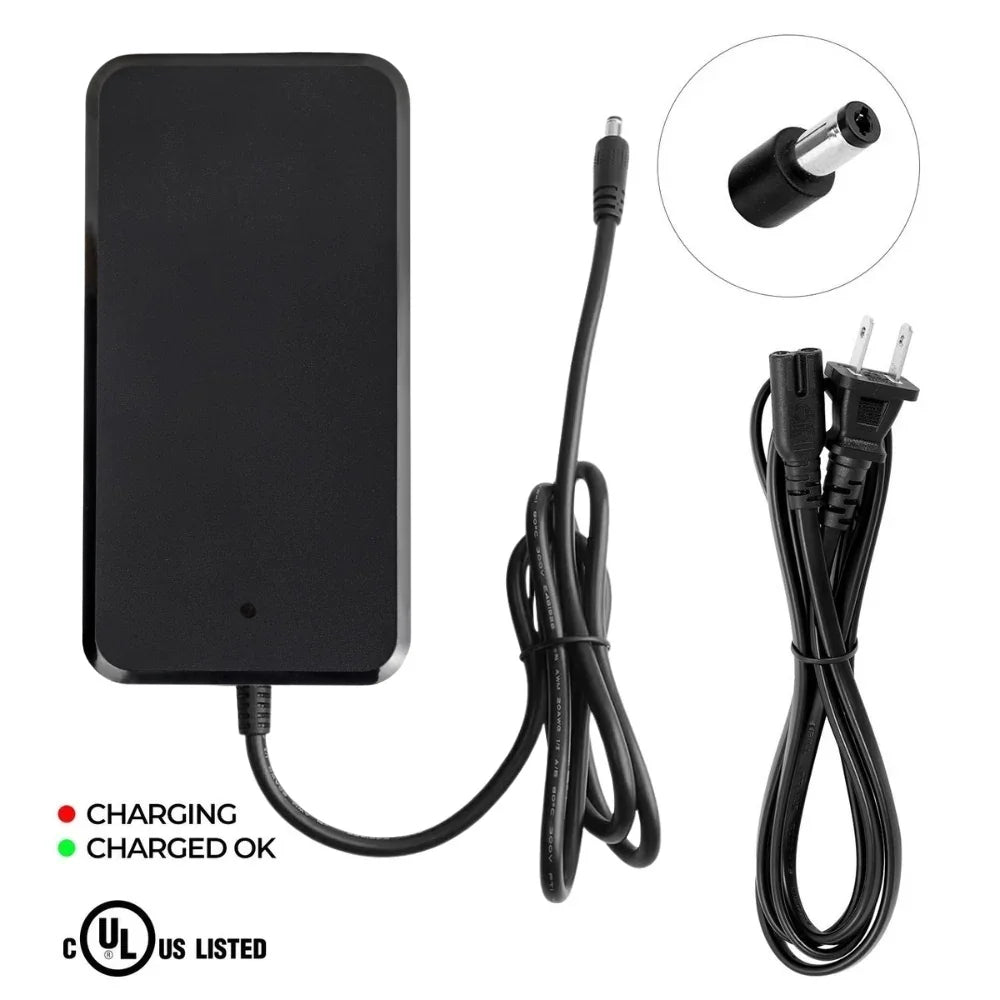 VIVI Electric Bike Chargers for 48V Battery