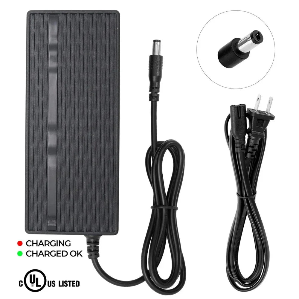 VIVI Electric Bike Chargers for 48V Battery