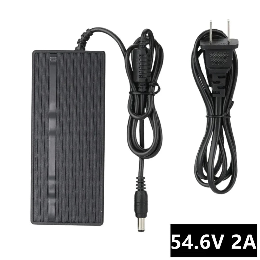 VIVI Electric Bike Chargers for 48V Battery