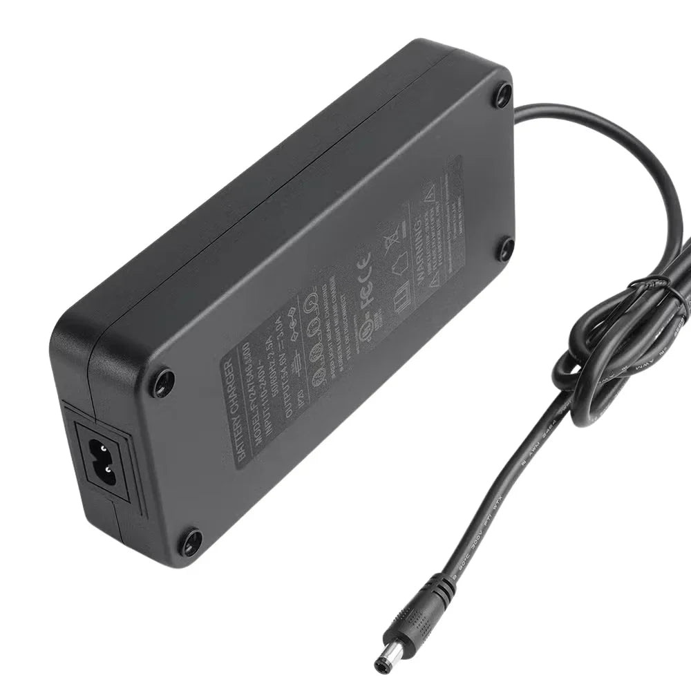 VIVI Electric Bike Chargers for 48V Battery