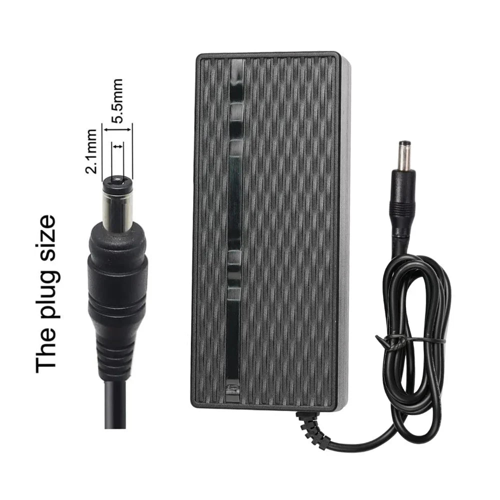 VIVI Electric Bike Chargers for 48V Battery