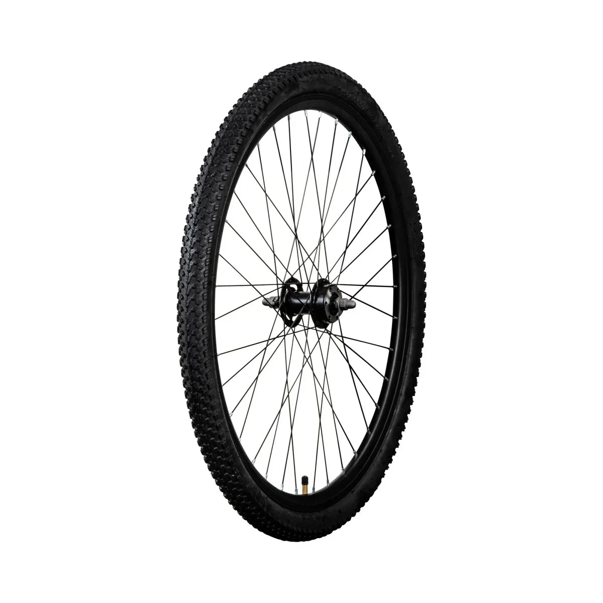 VIVI Electric Bike Front Wheels