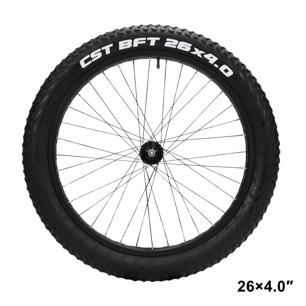 VIVI Electric Bike Front Wheels