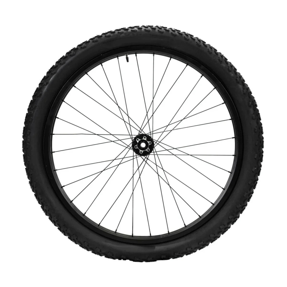 VIVI Electric Bike Front Wheels