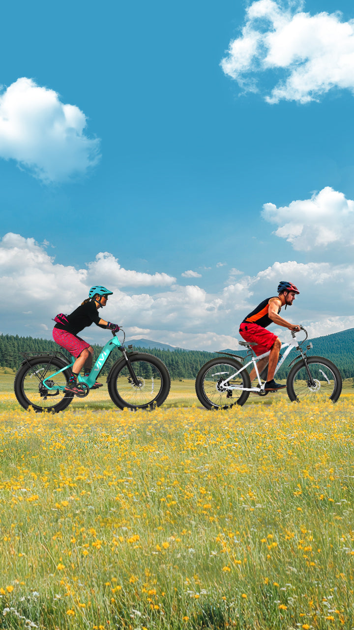 VIVI® eBikes | Best Affordable Electric Bikes for Adults VIVI® eBikes | Best Affordable Electric Bikes for Adults
