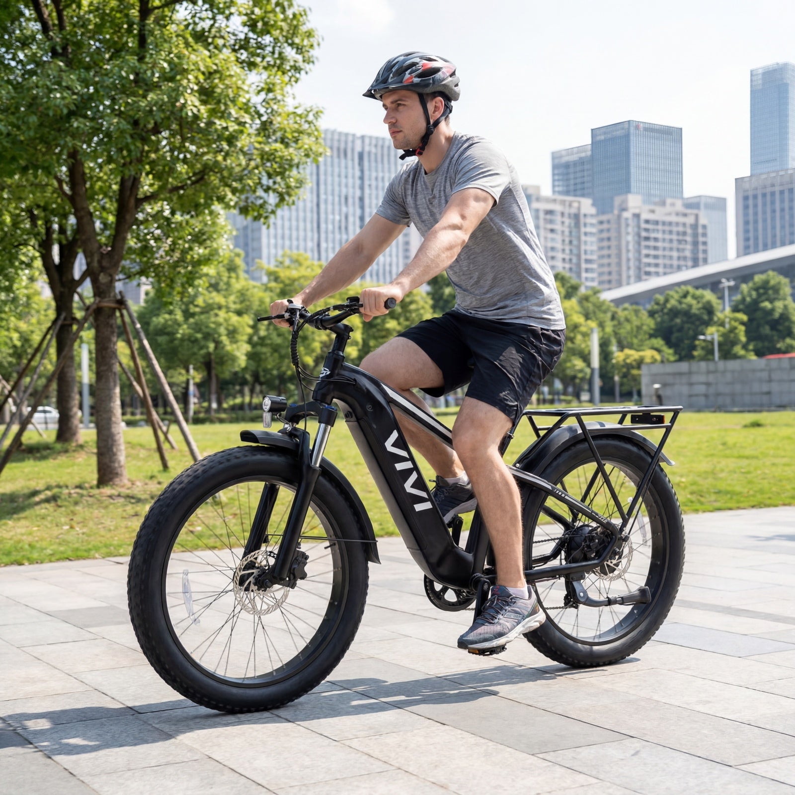 VIVI ACE01 Pro Electric Bike Torque Sensor Fat Tire Electric Bike with App Control