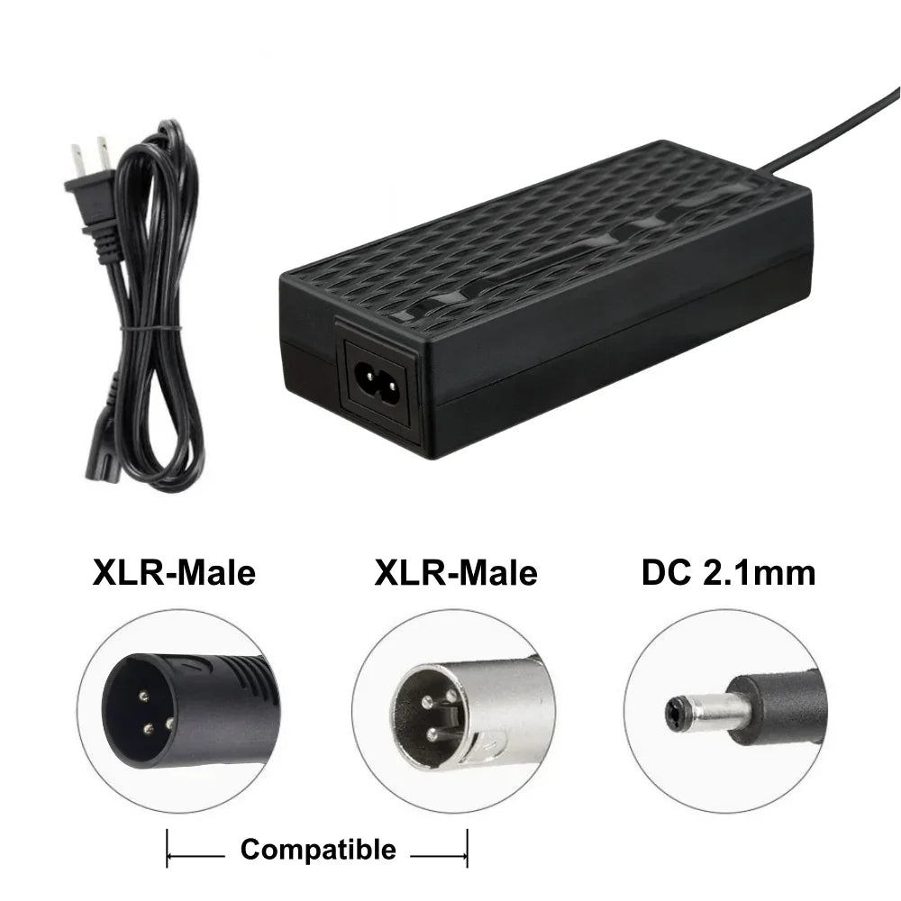 Vivi Amak Serie Bike 54.6V Cargador para una batería de 48V