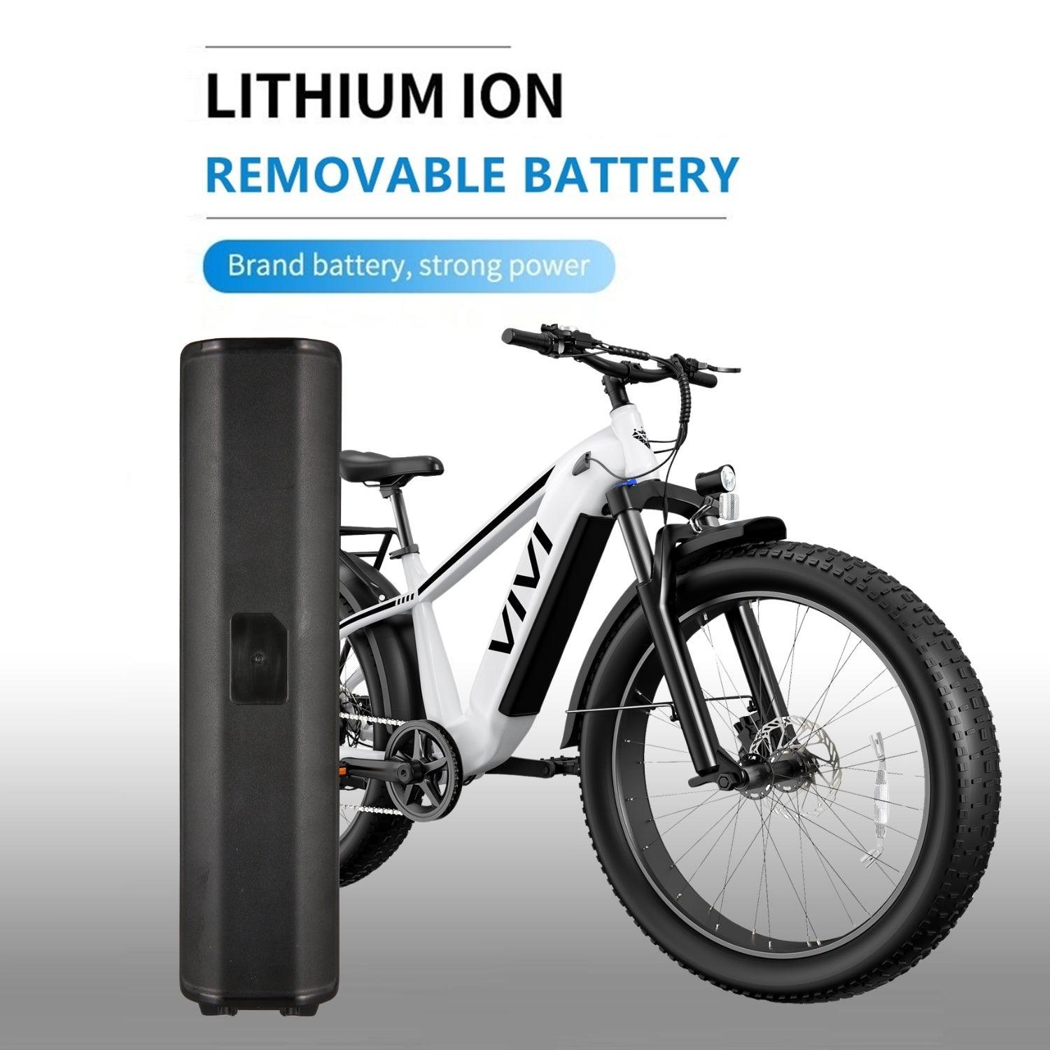 VIVI Electric Bike Battery For ACE Series Ebike