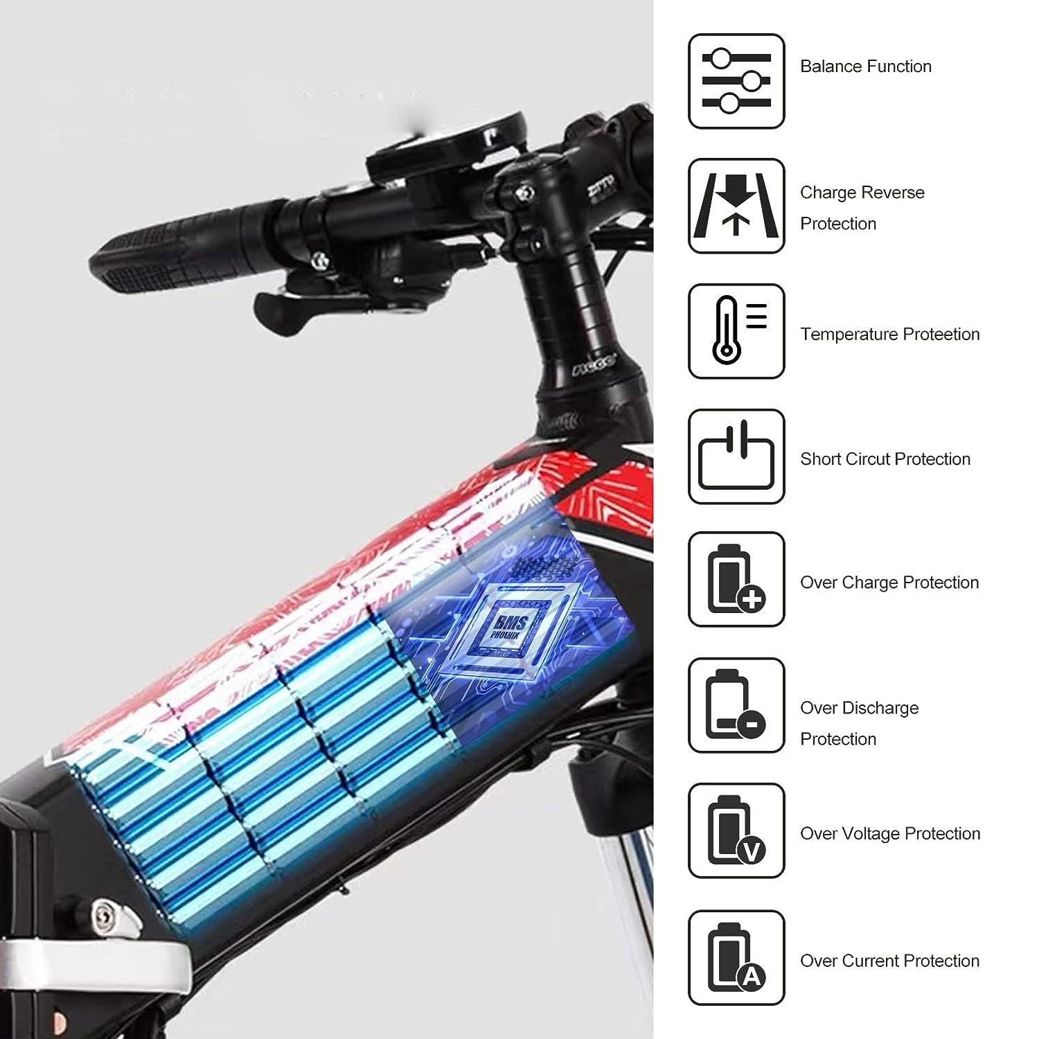 VIVI Electric Bike Battery For FM20 Ebike