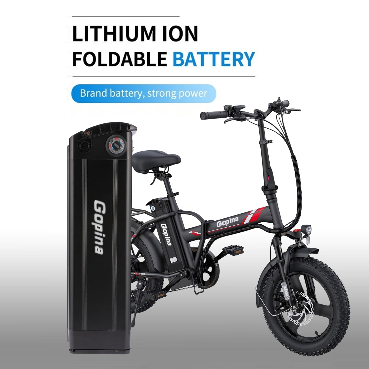 VIVI Electric Bike Battery For Gopina Ebike