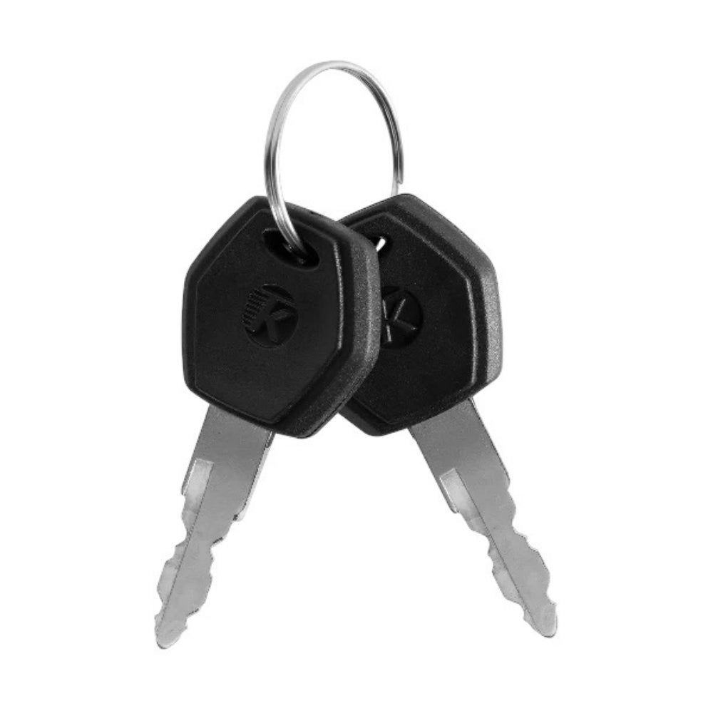 Electric Bike Battery Keys